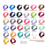 BioThane waterproof dog collar and leash color chart - available colors and options - Vivid Canine