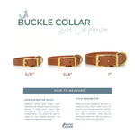 Buckle collar size comparison chart with Vivid Canine branding.
