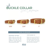 Buckle collar size comparison chart with Vivid Canine branding.