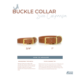 Fi Series 3/3+ Compatible Buckle Collar and Leash Walk Set