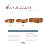Buckle collar size comparison chart with Vivid Canine branding