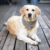 Dog Bandana - Black Houndstooth