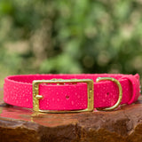 BioThane® Waterproof Buckle Dog Collar - Passion Fruit
