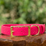 Vivid Canine BioThane® waterproof buckle dog collar passion fruit - durable outdoor pet gear available in XS-XL sizes