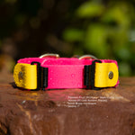 A bright pink dog collar with yellow hardware accents,  shown outdoors on a wet brown rock with green foliage blurred in the background. Text on the image identifies the colors and width.