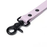 BioThane® Waterproof Dog Leash - Lilac