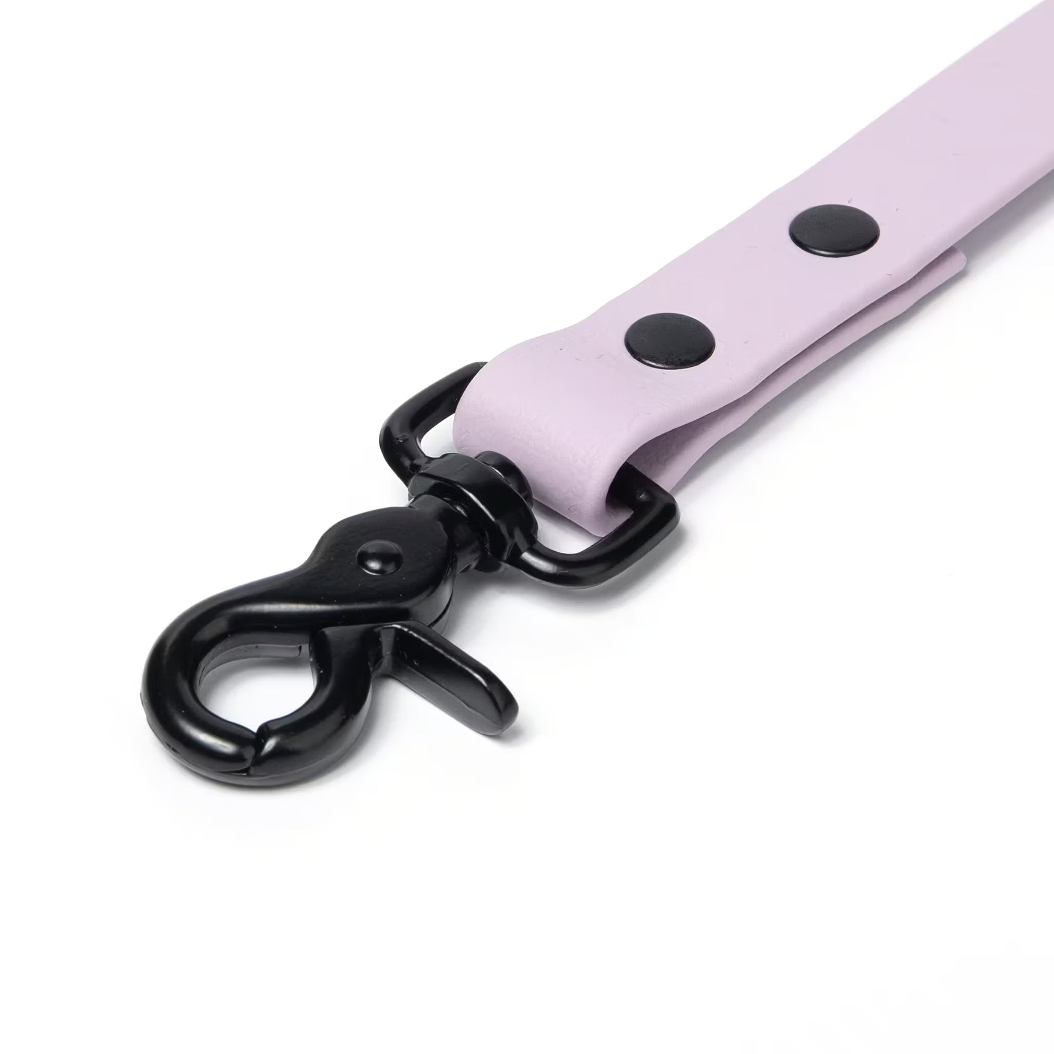 BioThane® Waterproof Dog Leash - Lilac