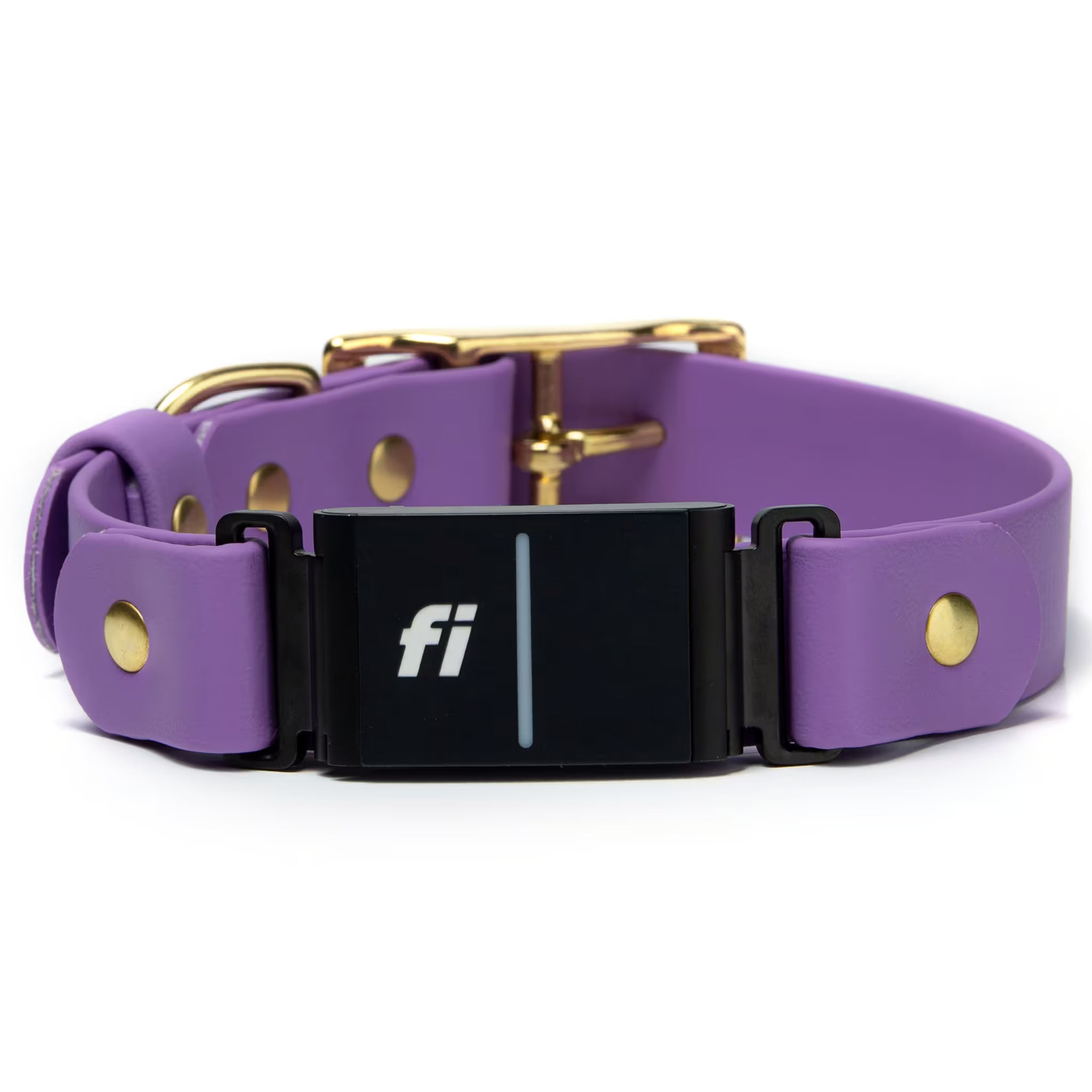 Fi Series 3 compatible BioThane waterproof buckle collar in amethyst purple