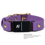 A BioThane Fi-compatible collar in amethyst with solid brass hardware shown on a white background with product text overlay.