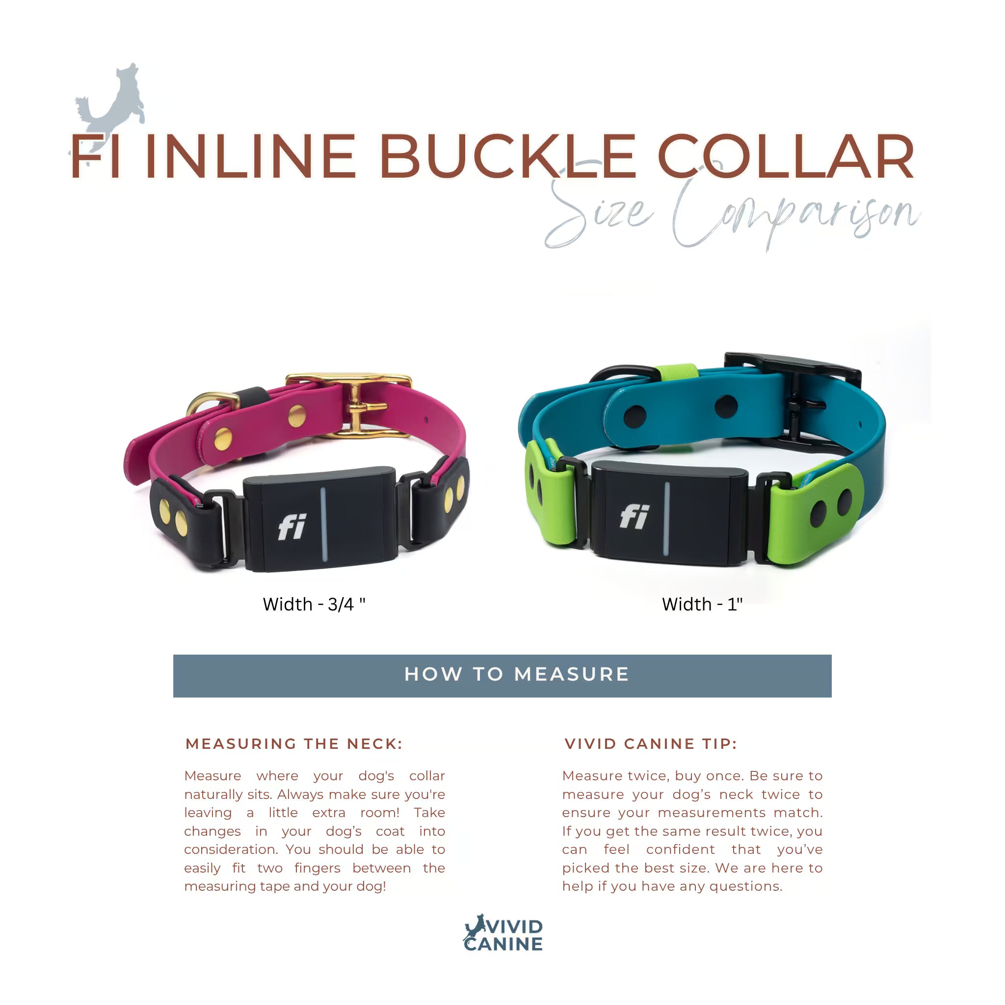 Biothane fi compatible inline buckle collar size comparison showing 3/4" and 1" width collars