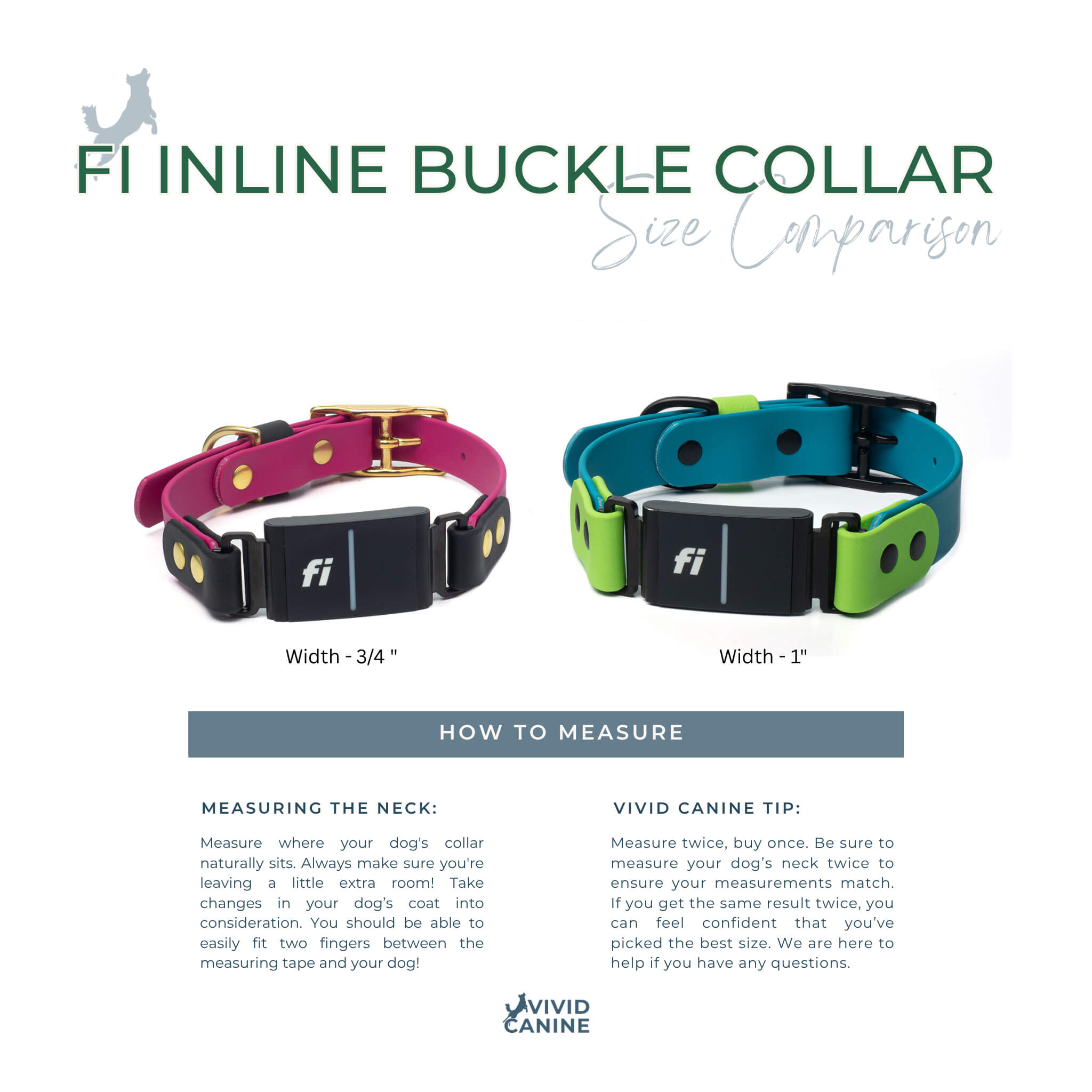 Two dog collars with size comparison and measurement instructions on a white background.