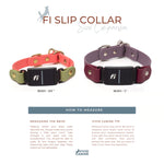 Two dog slip collars with size comparison and measurement guide on a white background.