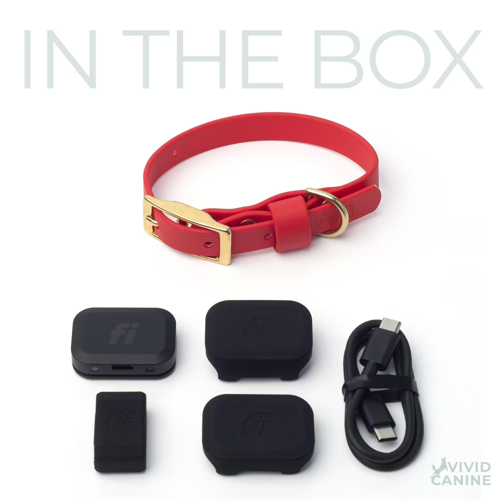 Red dog collar with accessories on a white background, Vivid Canine branding visible.