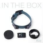 Blue dog collar with Fi accessories on a white background.