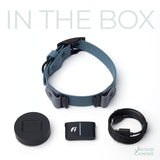 Blue dog collar with Fi accessories on a white background.