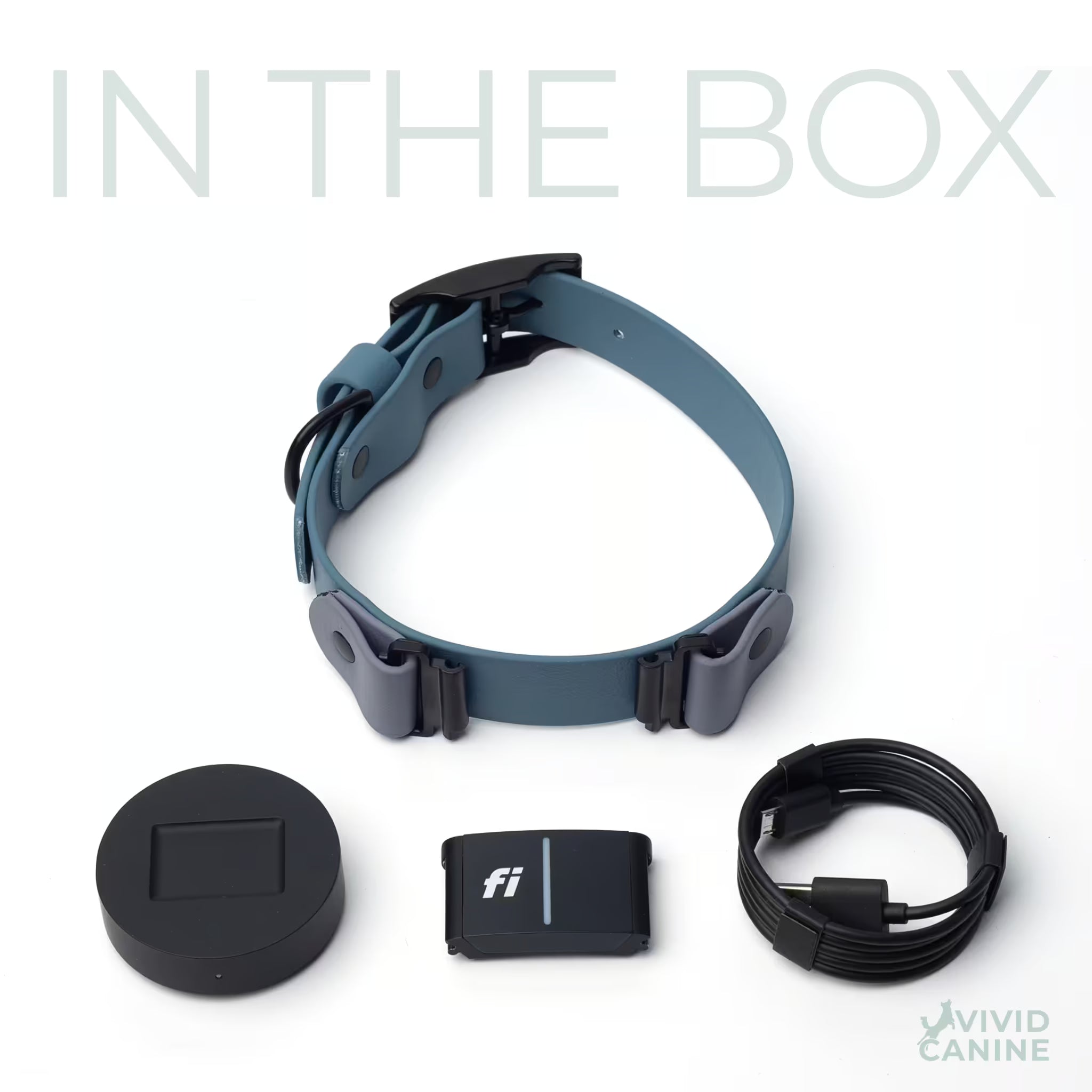 Blue dog collar with Fi accessories on a white background.