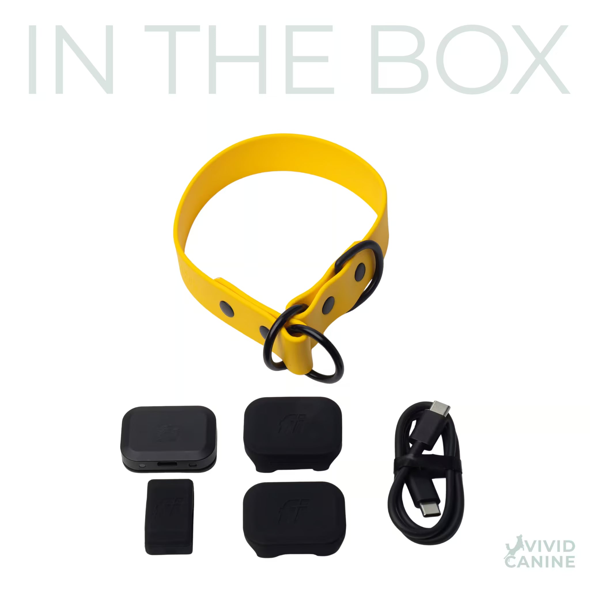 Yellow slip collar with accessories on a white background, featuring 'In the Box' text.