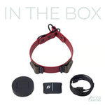 Red slip collar with Fi accessories on a white background.