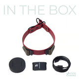 Red slip collar with Fi accessories on a white background.