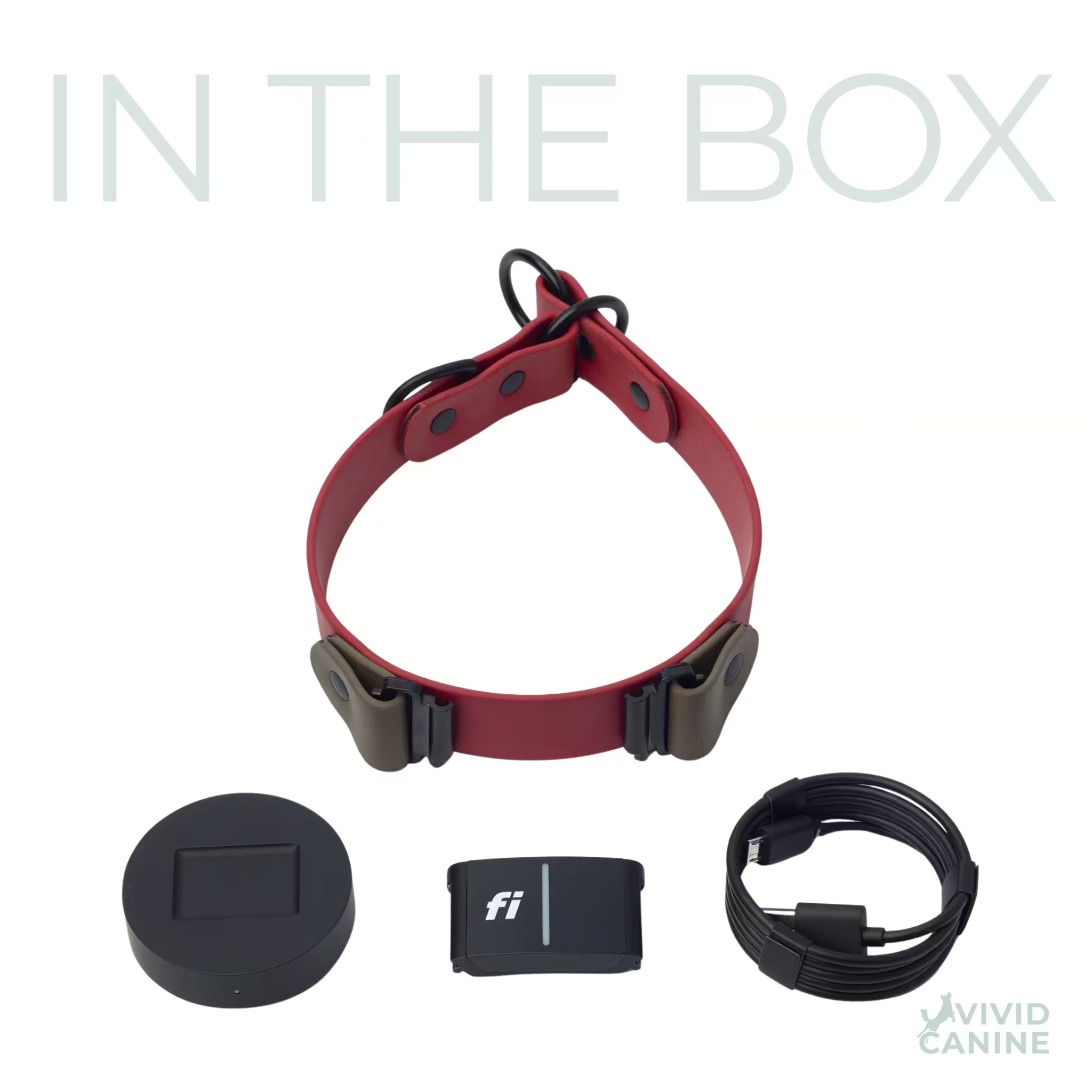Red slip collar with Fi accessories on a white background.