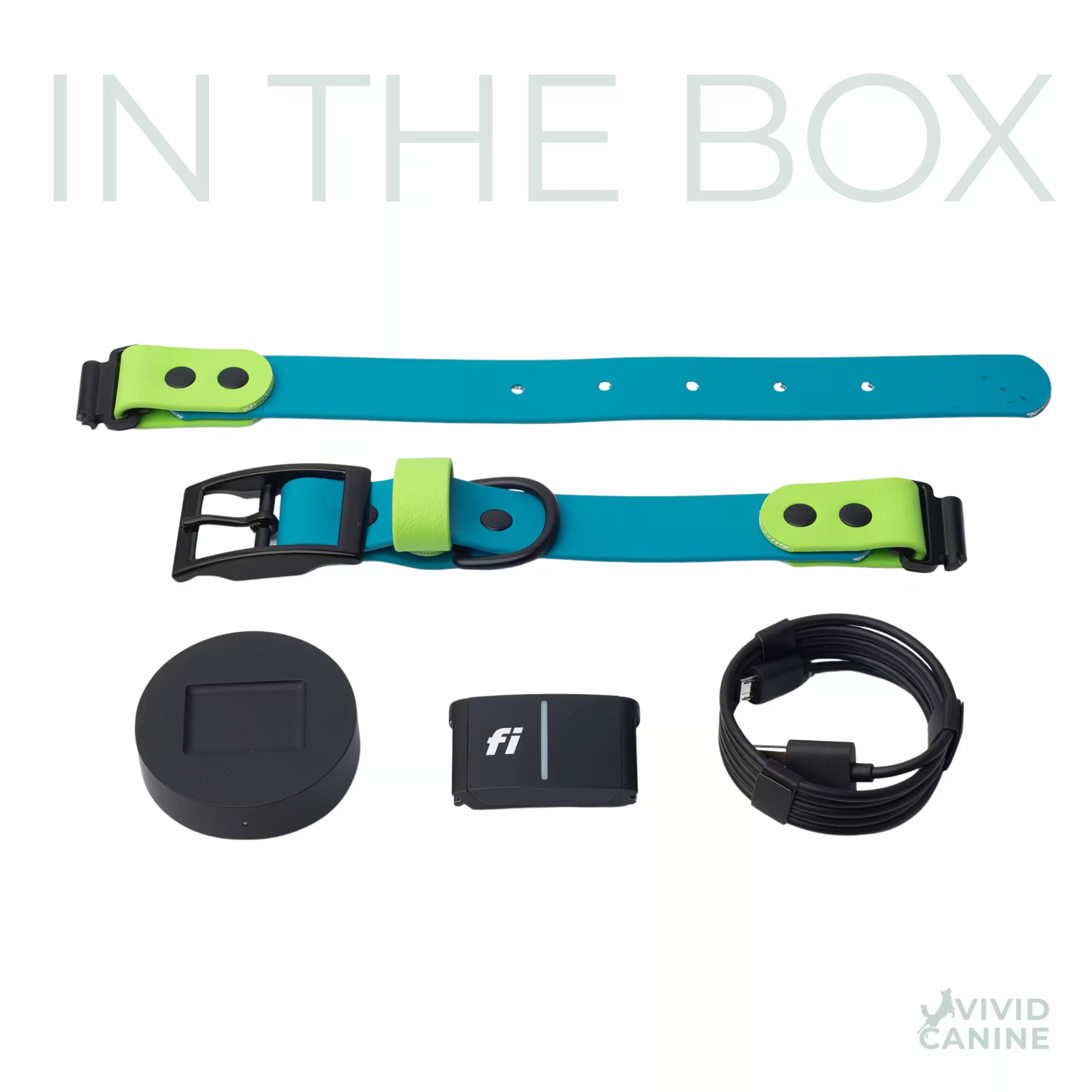 Fi collar and accessories with Vivid Canine branding on a white background