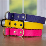 BioThane® Waterproof Slip Dog Collar