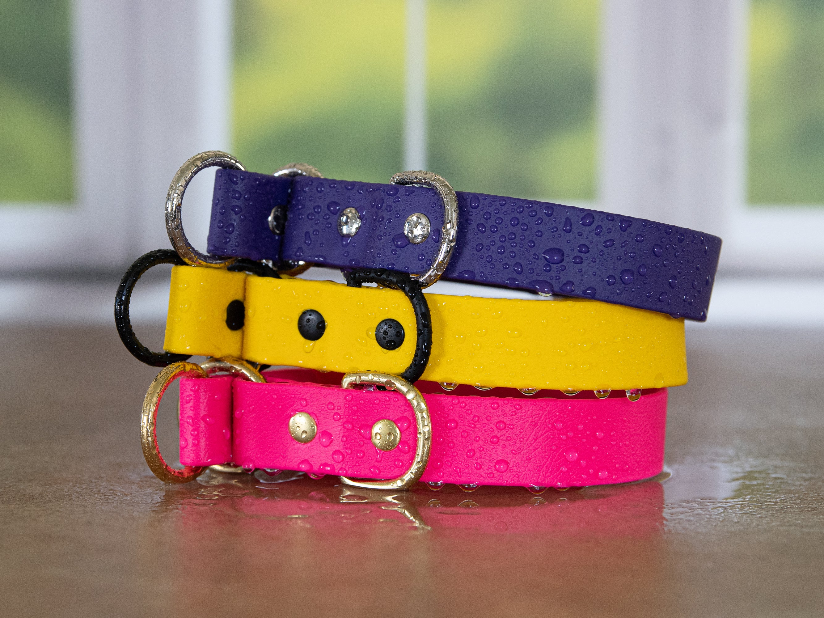 Canine leashes and collars outlet