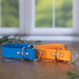 BioThane® Waterproof Slip Dog Collar