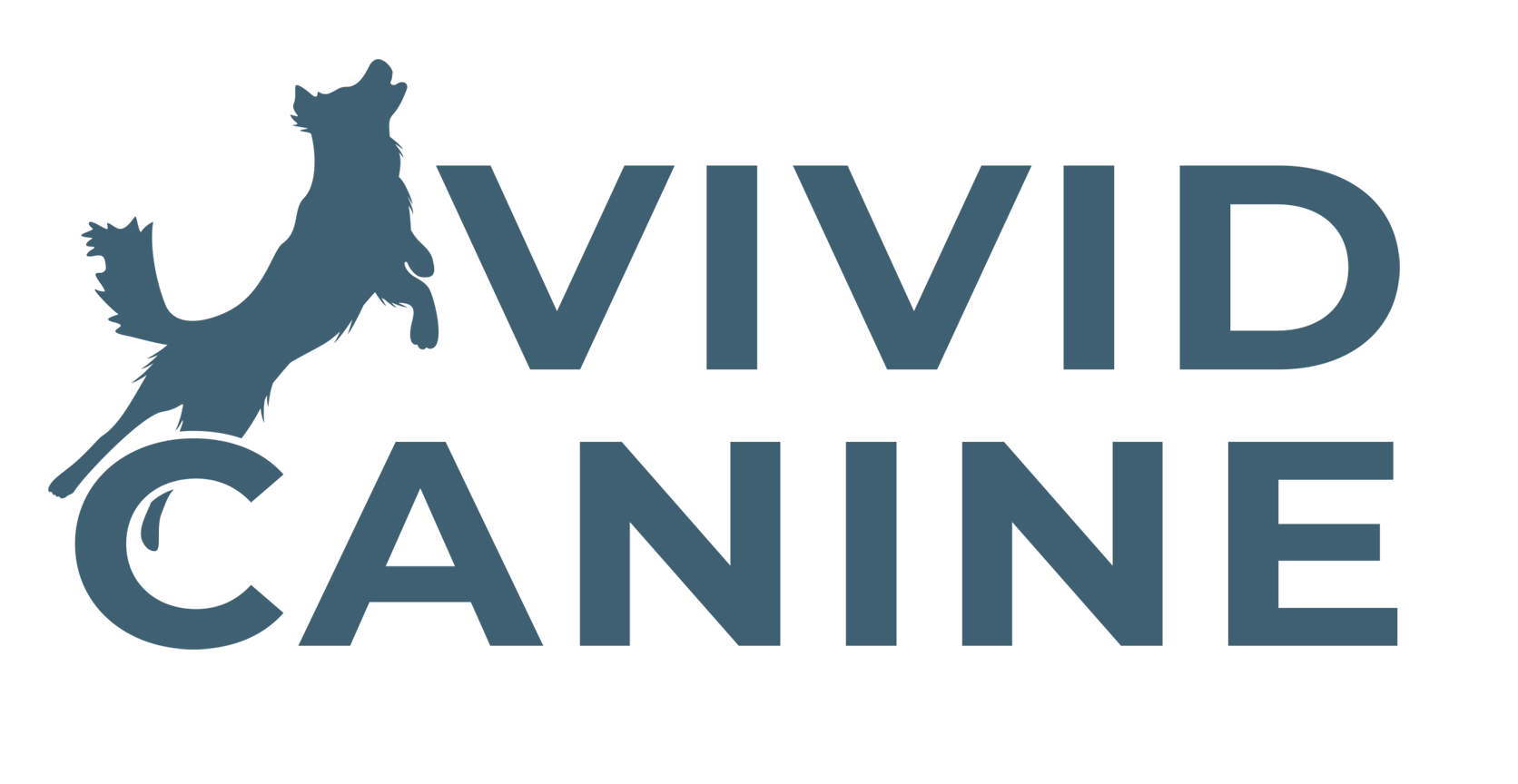 Vivid Canine