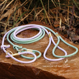Two Waterproof BioThane rolled slip leads with brass hardware pictured on a rock outdoors