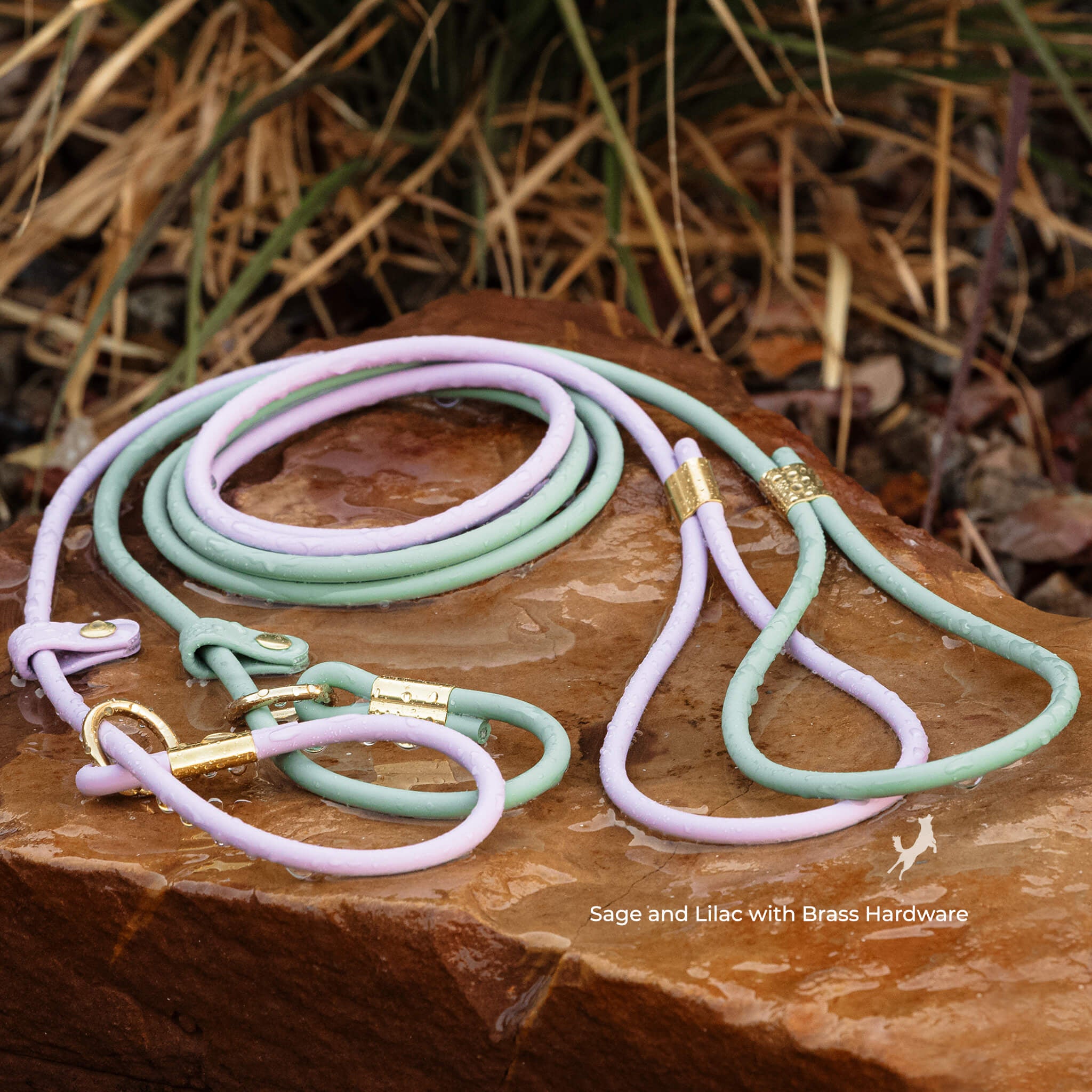 Two Waterproof BioThane rolled slip leads with brass hardware pictured on a rock outdoors