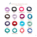 BioThane® Waterproof Rolled Slip Lead