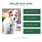 BioThane rolled slip lead infographic — leash and collar all in one, durable and lightweight, multiple colors available, odor-resistant