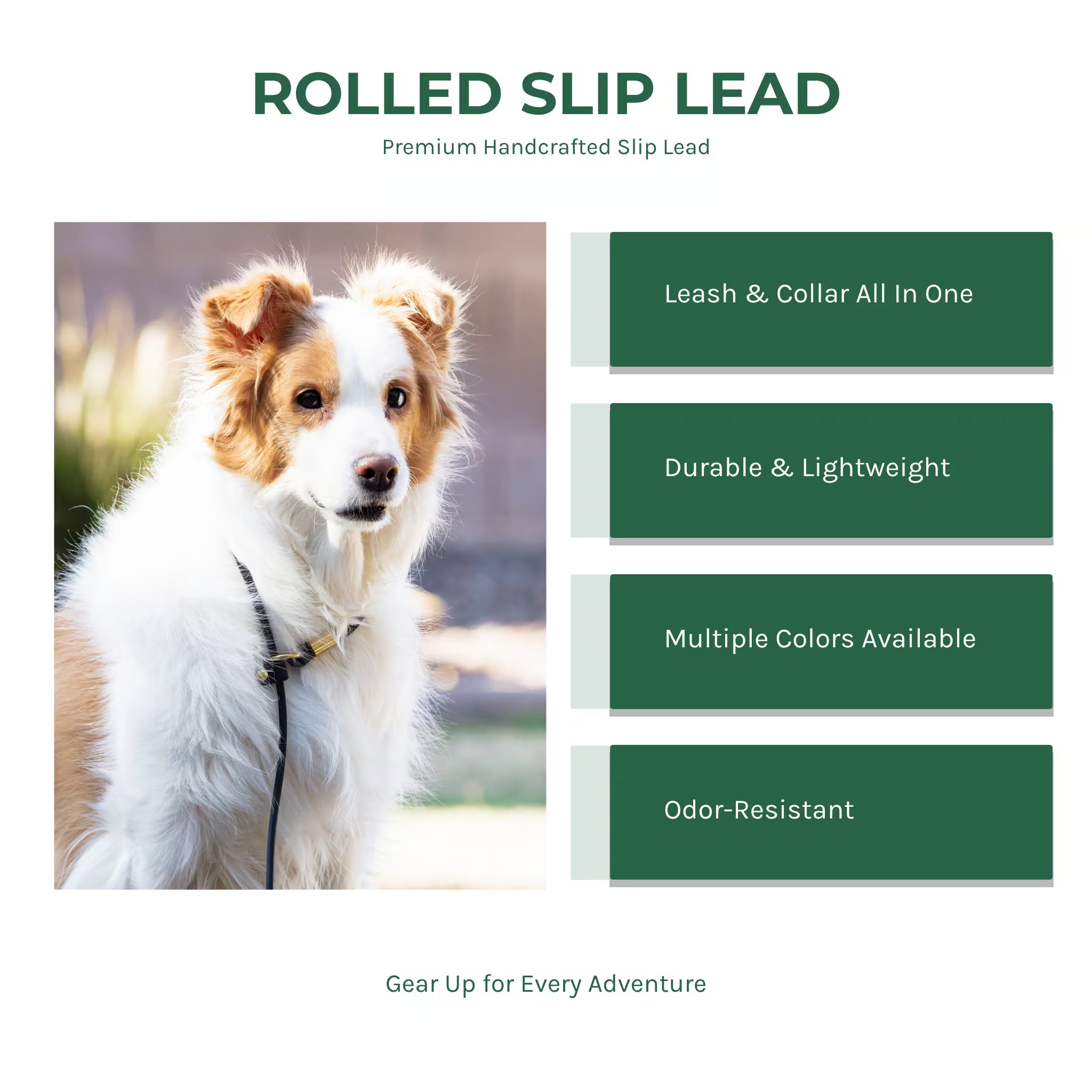 BioThane rolled slip lead infographic — leash and collar all in one, durable and lightweight, multiple colors available, odor-resistant