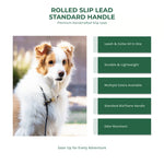 BioThane rolled slip lead with standard handle — leash and collar all in one, lightweight and odor-resistant