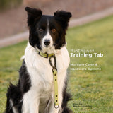 BioThane® Waterproof Training Tab