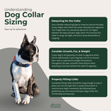 The image is a collage of three images, each depicting a dog wearing a collar. The collage focuses on the importance of properly fitting dog collars and provides guidelines for measuring and selecting the right collar size for your dog.