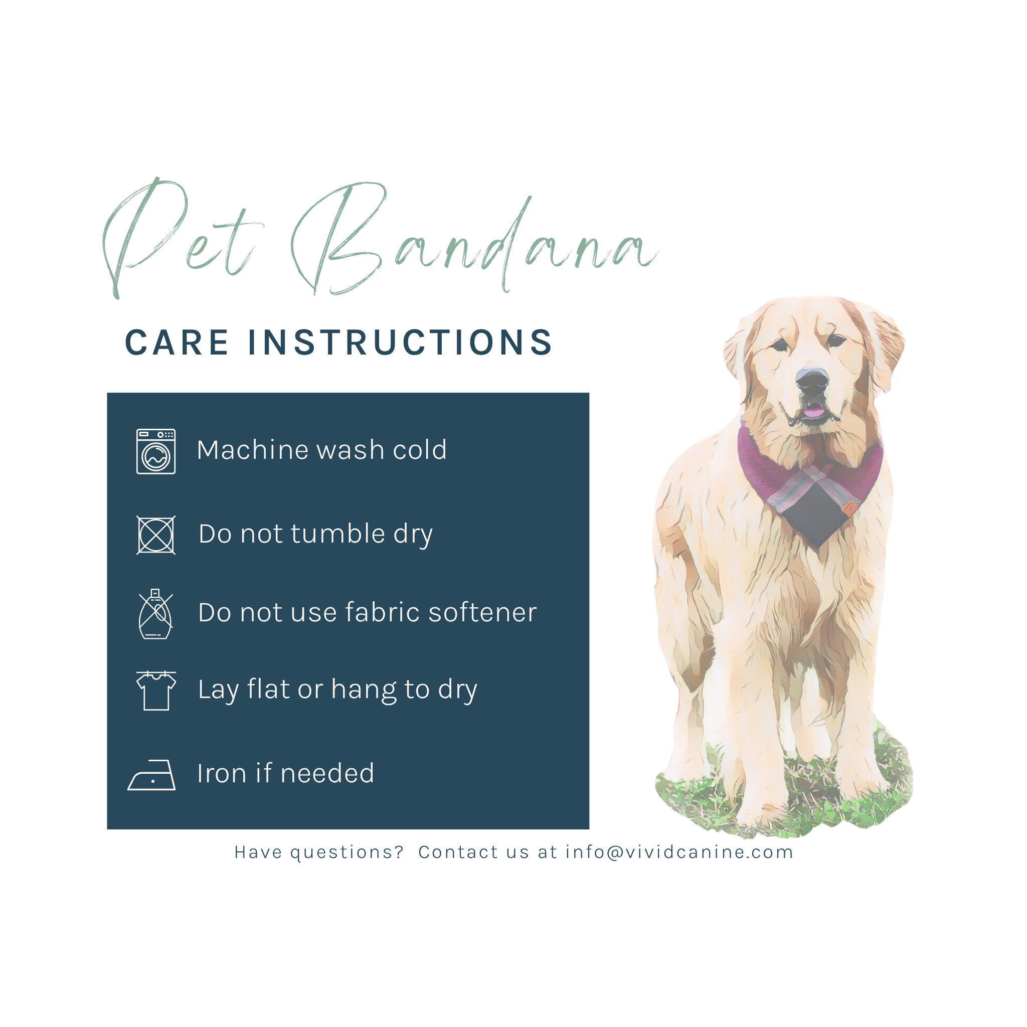 a care instructions guide for a pet bandana, with a dog illustration on the right side.