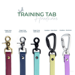 Vivid Canine BioThane® color chart showing all available color options for BioThane® Gear