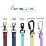 Vivid Canine BioThane® color chart showing all available color options for BioThane® Gear