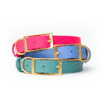 Vivid Canine BioThane® buckle dog collars in multiple colors on white background
