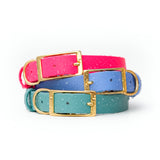 Vivid Canine BioThane® buckle dog collars in multiple colors on white background