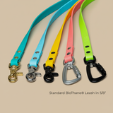 Waterproof BioThane standard leashes in teal, sky blue, yellow, coral, and lime with brass, chrome, and matte black hardware