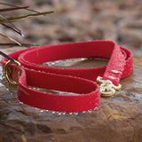 BioThane® Waterproof Dog Leash - Red