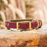BioThane® Layered Two Tone Buckle Collar - 3/4" & 1"
