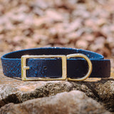 BioThane® Waterproof Buckle Dog Collar - Deep Sea Blue