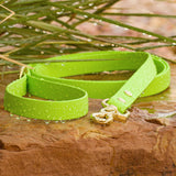 BioThane® Waterproof Dog Leash - Lime