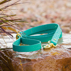 BioThane® Waterproof Dog Leash - Teal