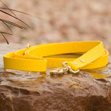 BioThane® Waterproof Dog Leash - Yellow
