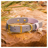 BioThane® Waterproof Two Tone Buckle Dog Collar